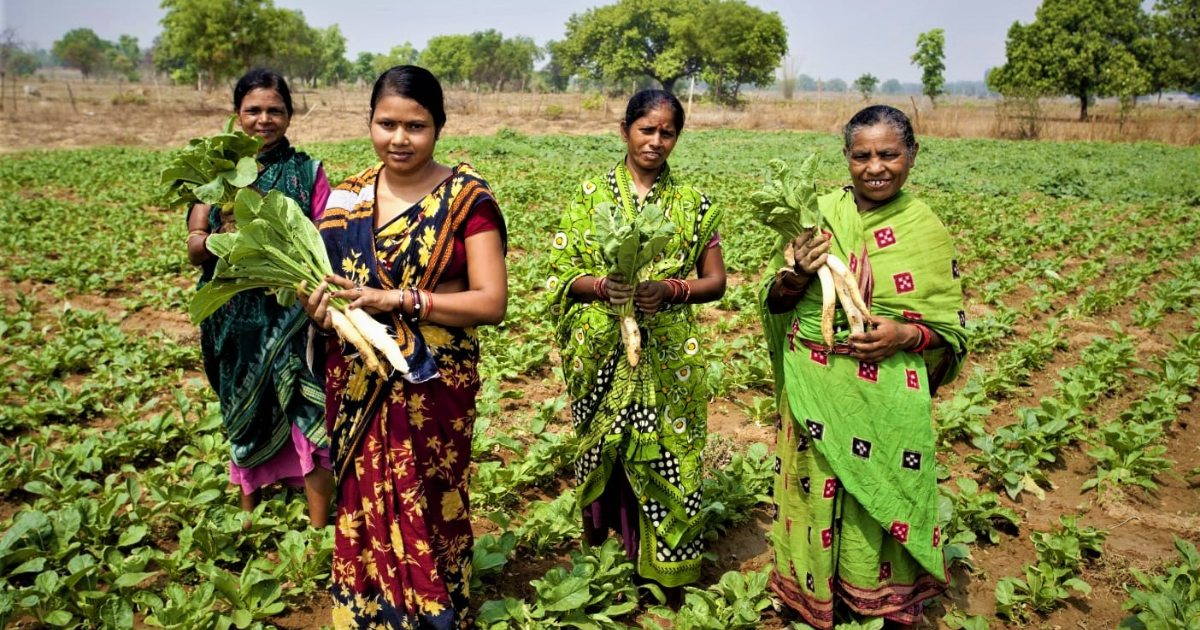 Vedanta Aluminium’s ‘Jeevika Samriddhi’ project nurtures growth and prosperity for Jharsuguda Farmers